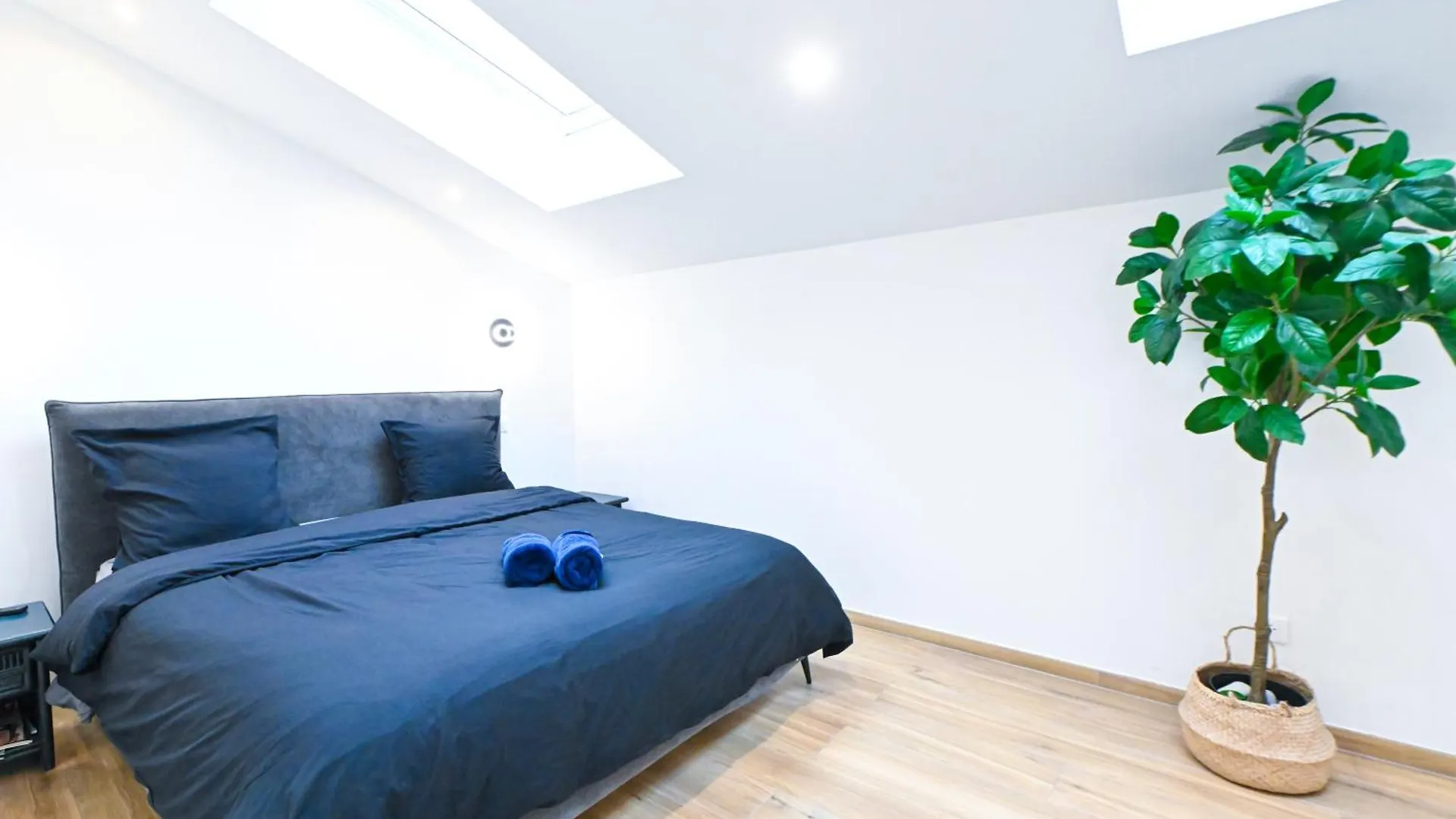 Beau Deux Pieces Cozy Avec Terrasse N11 Apartment Nice
